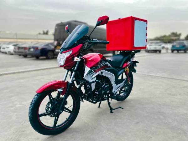 Lifan Delivery Bike Photos13