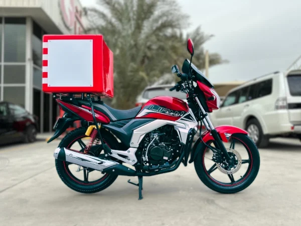 Lifan Delivery Bike Photos13